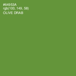 #64953A - Olive Drab Color Image