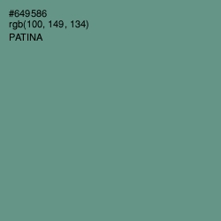 #649586 - Patina Color Image