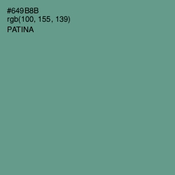 #649B8B - Patina Color Image