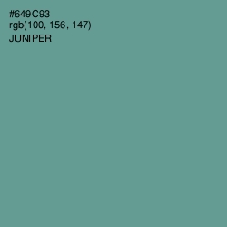 #649C93 - Juniper Color Image
