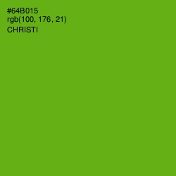 #64B015 - Christi Color Image