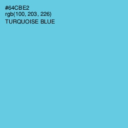 #64CBE2 - Turquoise Blue Color Image