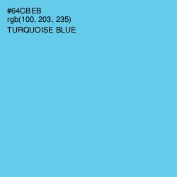 #64CBEB - Turquoise Blue Color Image