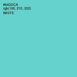 #64D2CA - Downy Color Image