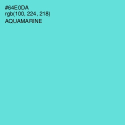 #64E0DA - Aquamarine Color Image