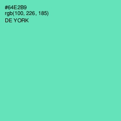 #64E2B9 - De York Color Image