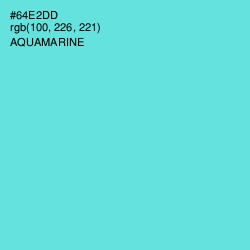 #64E2DD - Aquamarine Color Image