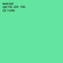 #64E59F - De York Color Image
