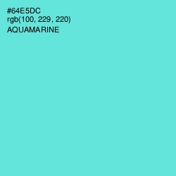 #64E5DC - Aquamarine Color Image