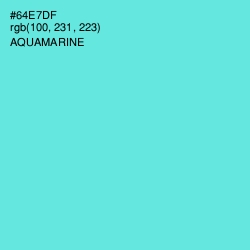 #64E7DF - Aquamarine Color Image