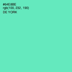 #64E8BE - De York Color Image