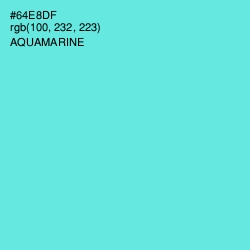 #64E8DF - Aquamarine Color Image