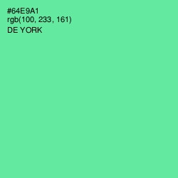 #64E9A1 - De York Color Image