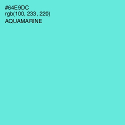 #64E9DC - Aquamarine Color Image