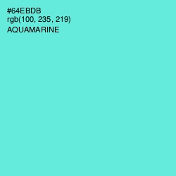 #64EBDB - Aquamarine Color Image