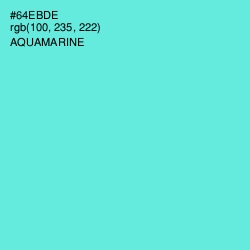 #64EBDE - Aquamarine Color Image