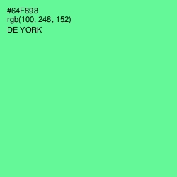 #64F898 - De York Color Image