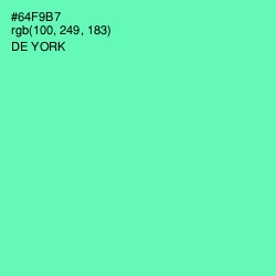 #64F9B7 - De York Color Image