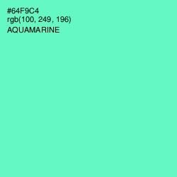 #64F9C4 - Aquamarine Color Image