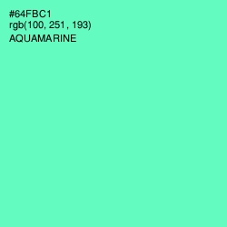 #64FBC1 - Aquamarine Color Image