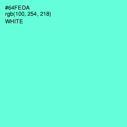 #64FEDA - Aquamarine Color Image