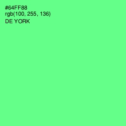 #64FF88 - De York Color Image