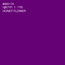 #650174 - Honey Flower Color Image