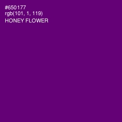 #650177 - Honey Flower Color Image