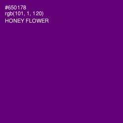 #650178 - Honey Flower Color Image