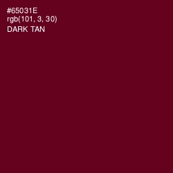 #65031E - Dark Tan Color Image
