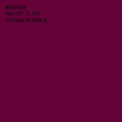 #650338 - Tyrian Purple Color Image