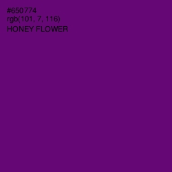 #650774 - Honey Flower Color Image