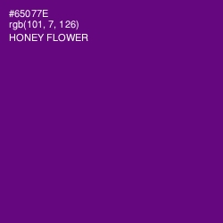 #65077E - Honey Flower Color Image