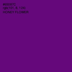 #65087C - Honey Flower Color Image