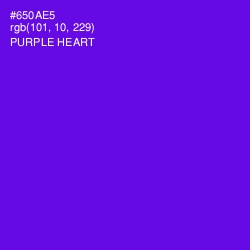 #650AE5 - Purple Heart Color Image