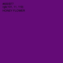 #650B77 - Honey Flower Color Image