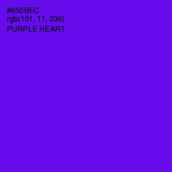 #650BEC - Purple Heart Color Image