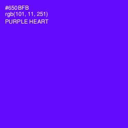 #650BFB - Purple Heart Color Image