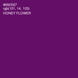 #650E67 - Honey Flower Color Image