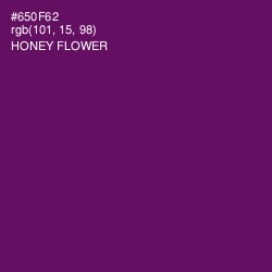 #650F62 - Honey Flower Color Image