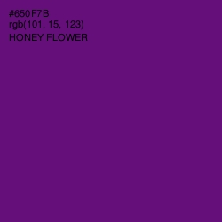 #650F7B - Honey Flower Color Image