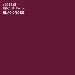 #651835 - Black Rose Color Image