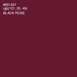 #651931 - Black Rose Color Image