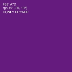 #651A7D - Honey Flower Color Image