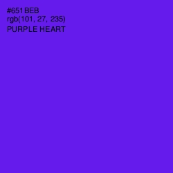 #651BEB - Purple Heart Color Image