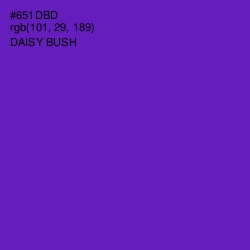 #651DBD - Daisy Bush Color Image