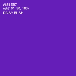 #651EB7 - Daisy Bush Color Image