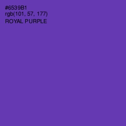 #6539B1 - Royal Purple Color Image