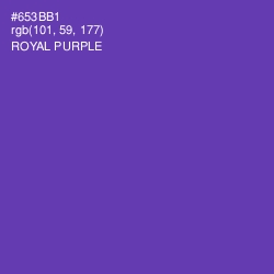 #653BB1 - Royal Purple Color Image