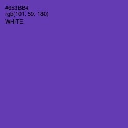 #653BB4 - Royal Purple Color Image